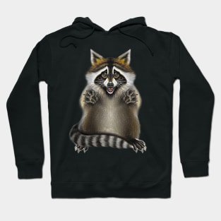 Raccoon Hoodie